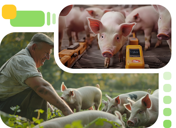 About Hoag Agricultural