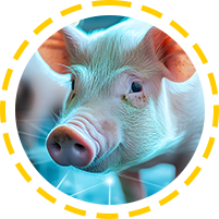 Tech-Driven Agri-Finance